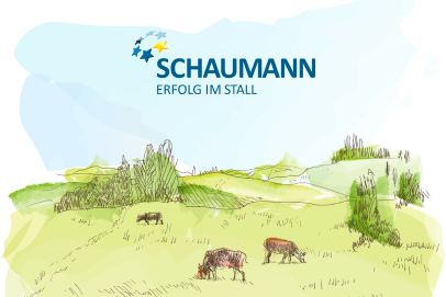 Разработка сайта Schaumann